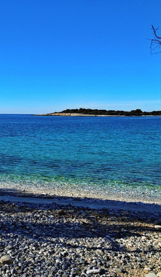 Black Pearl - Luxury Seaside App With Pool & Bbq, Istra Banjole Dış mekan fotoğraf