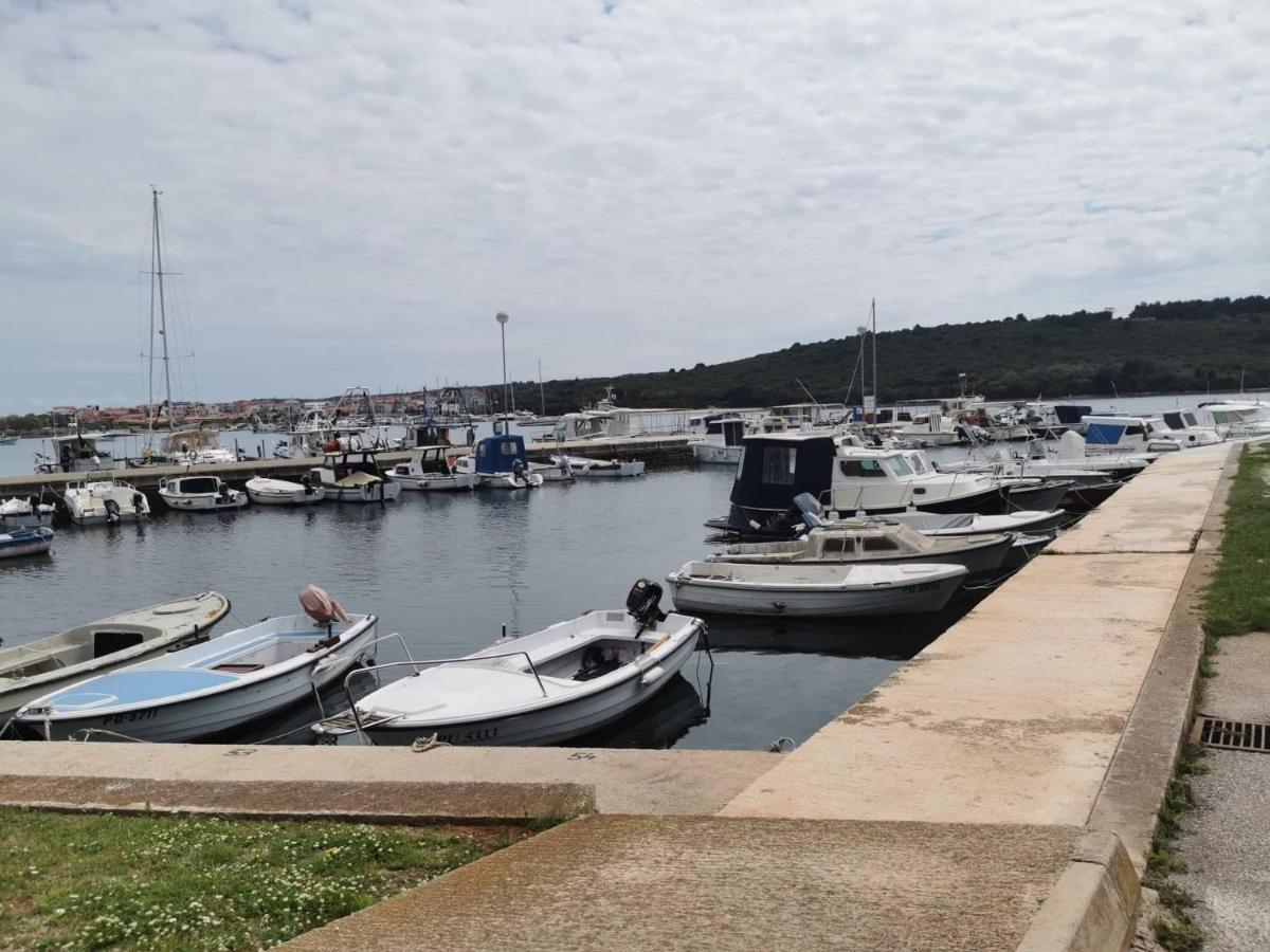 Black Pearl - Luxury Seaside App With Pool & Bbq, Istra Banjole Dış mekan fotoğraf