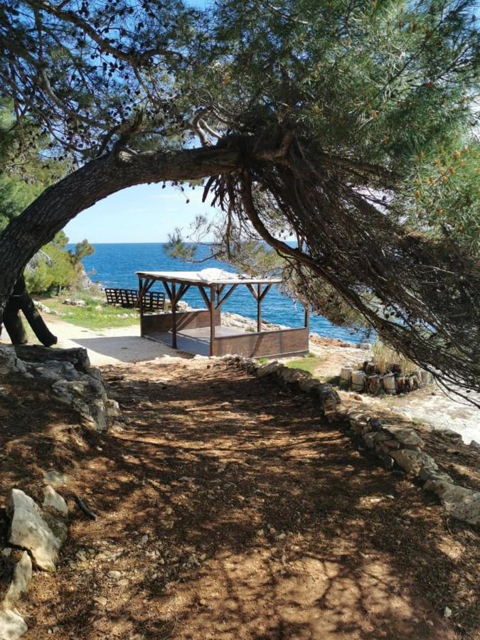 Black Pearl - Luxury Seaside App With Pool & Bbq, Istra Banjole Dış mekan fotoğraf