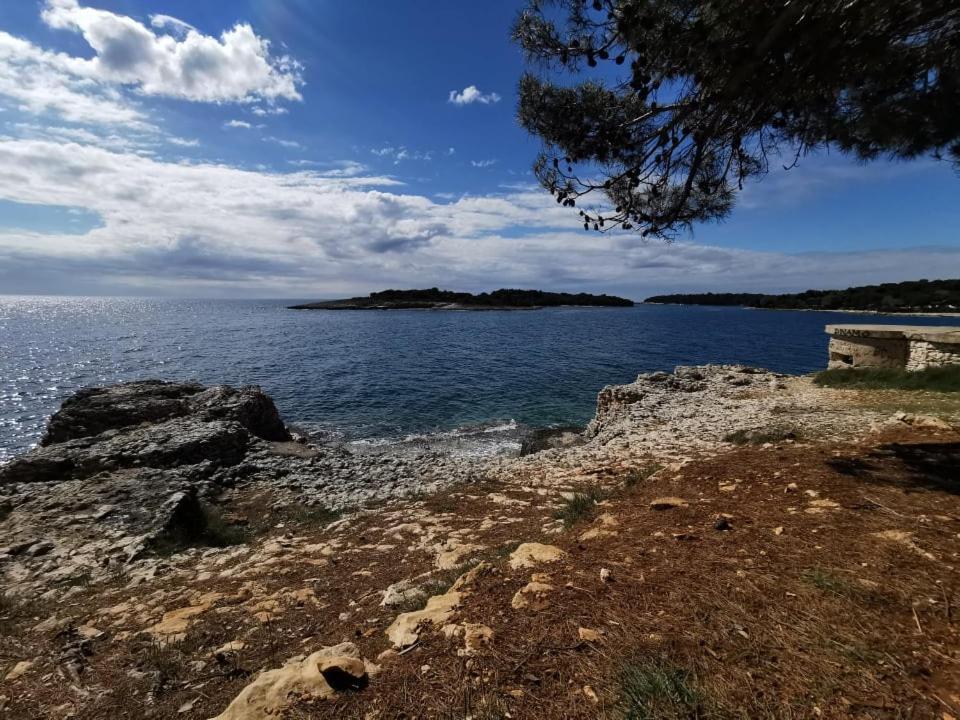Black Pearl - Luxury Seaside App With Pool & Bbq, Istra Banjole Dış mekan fotoğraf