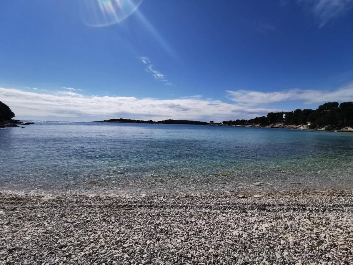 Black Pearl - Luxury Seaside App With Pool & Bbq, Istra Banjole Dış mekan fotoğraf